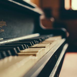 在线观看的黄色
